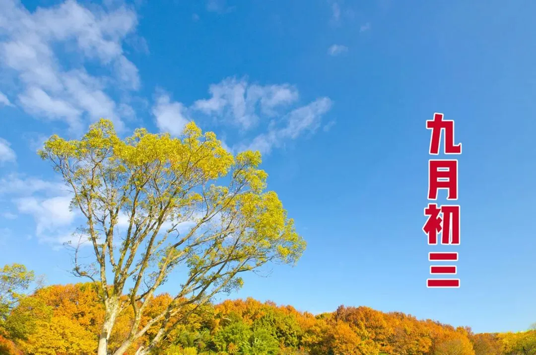 今日九月初三,牢记:一要避,二不做,三要吃,安康纳福,温暖顺利过深秋-第1张图片-四季读书网