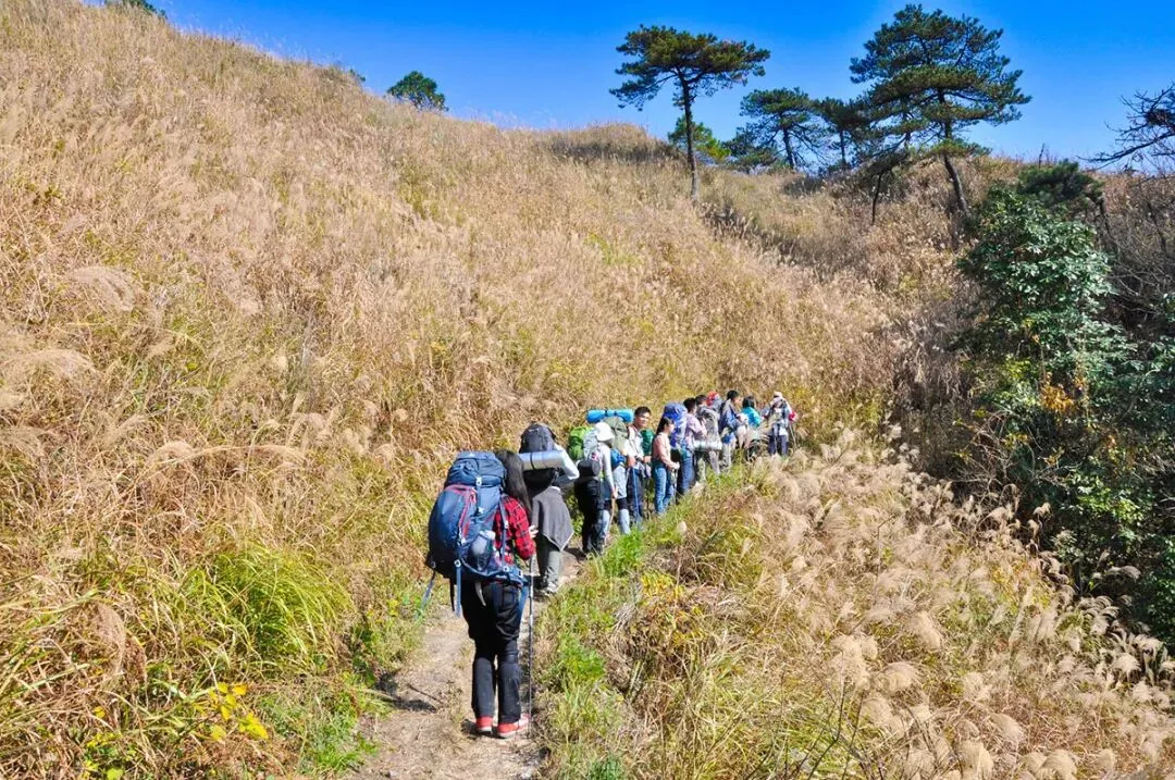 今日九月初三,牢记:一要避,二不做,三要吃,安康纳福,温暖顺利过深秋-第3张图片-四季读书网