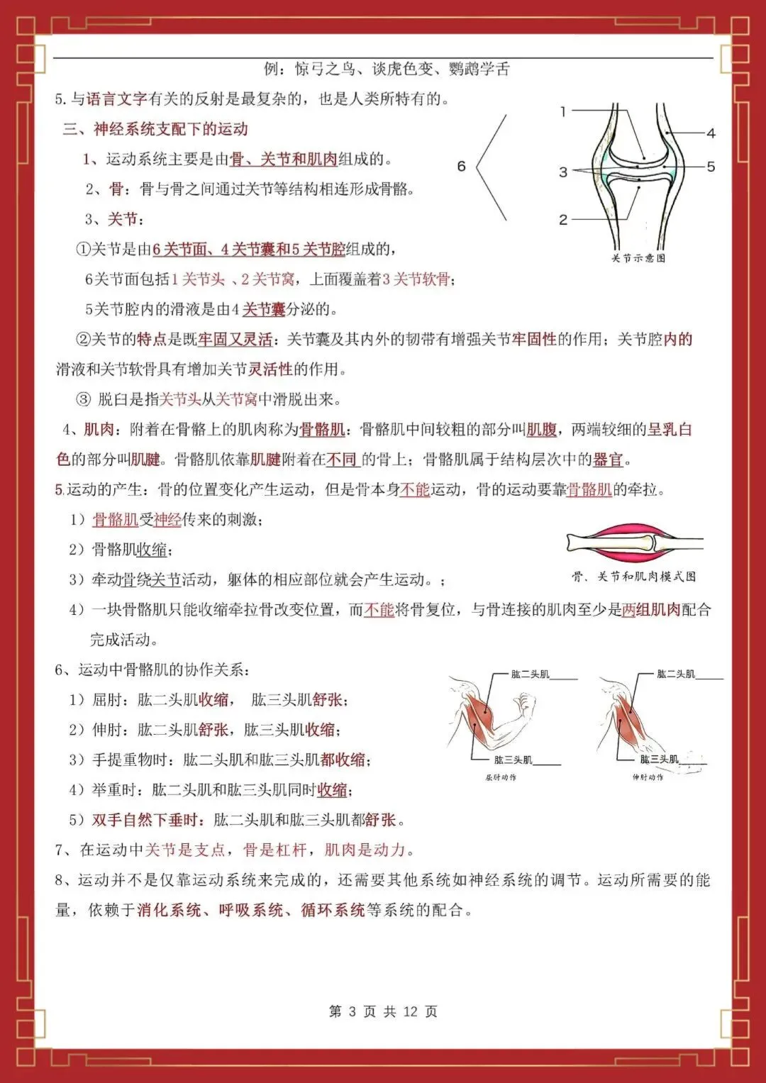 【初二】2026新教材八年级上册生物全册必背知识点汇总(高清版可打印)-第7张图片-四季读书网