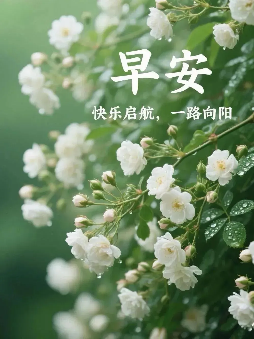 2026年10月12日 农历九月初三·周一早安!爆款祝福语+绝美图片:成长就像秋天的庄稼,你急着去收割,反而容易折断-第3张图片-四季读书网