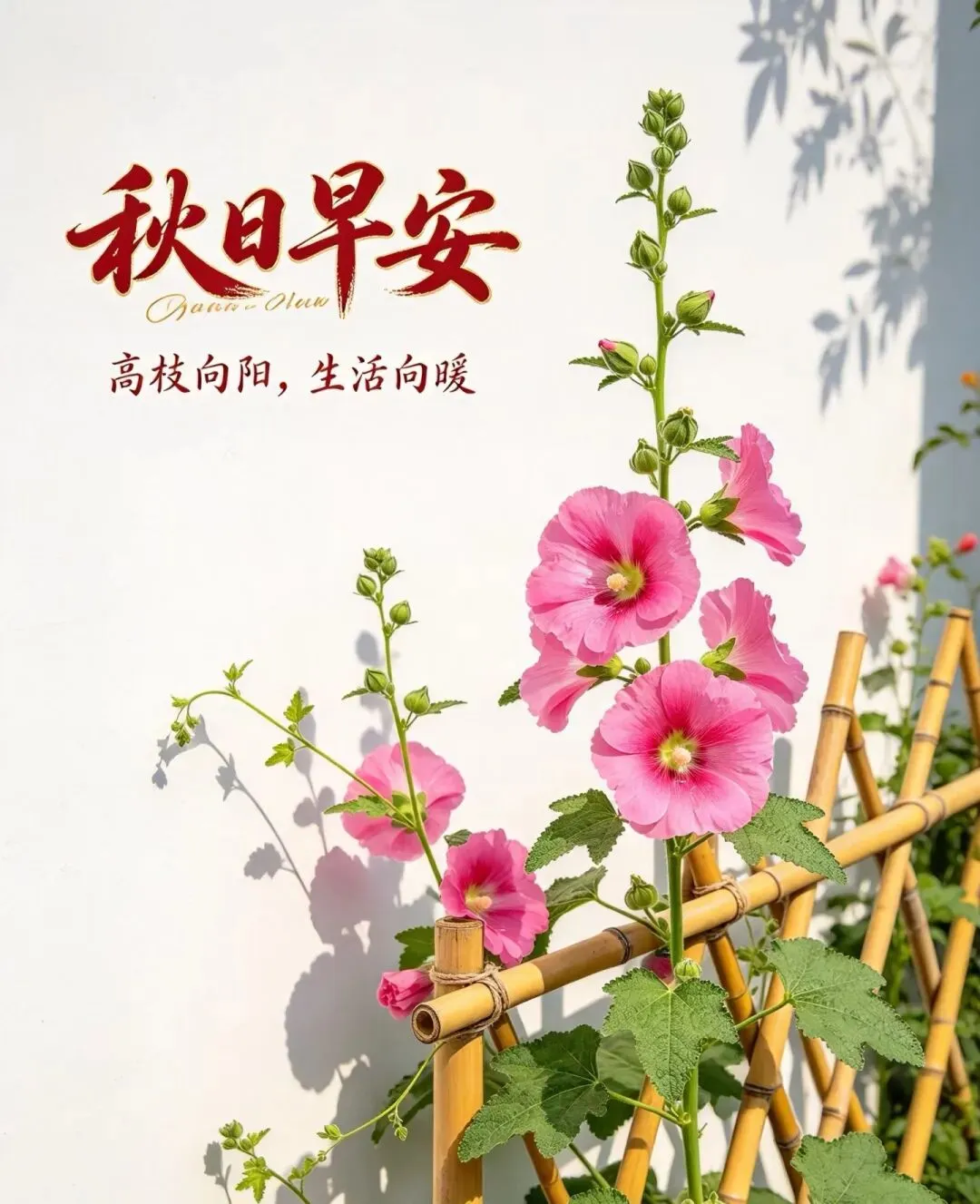 九月初三,缘分选择了我们,我们选择了永久,难忘的是友谊,可贵的是真情,愿我们天天快乐,平安健康!早上好!-第3张图片-四季读书网