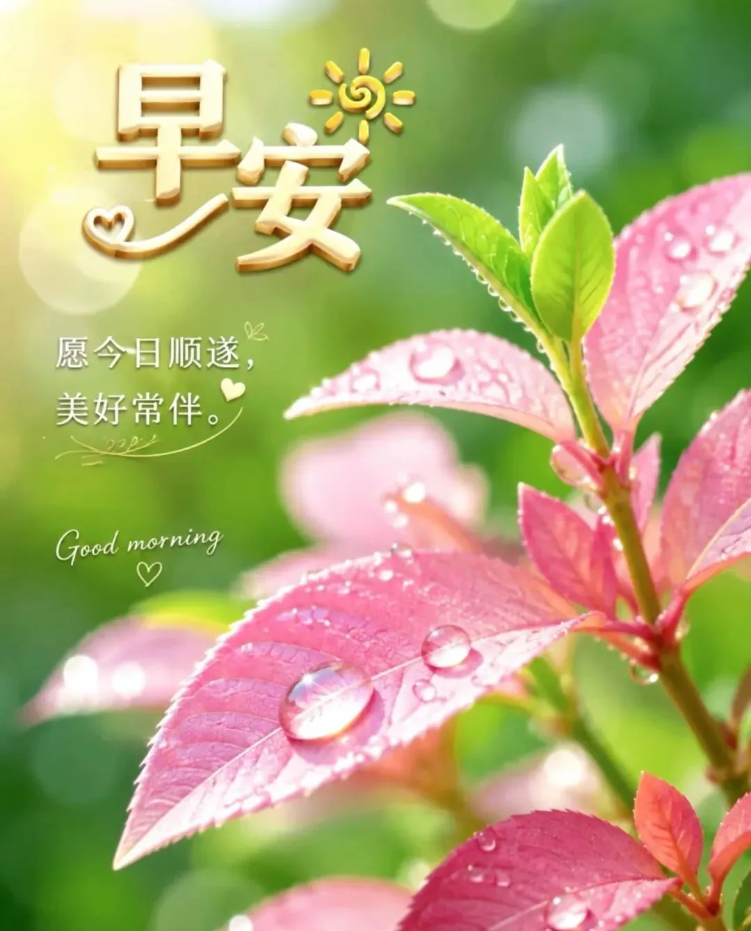 九月初三,缘分选择了我们,我们选择了永久,难忘的是友谊,可贵的是真情,愿我们天天快乐,平安健康!早上好!-第6张图片-四季读书网