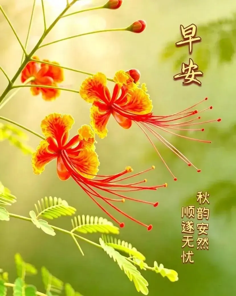 2026年10月12日 农历九月初三·周一大伙儿周一好!-第2张图片-四季读书网 2026年10月12日 农历九月初三·周一大伙儿周一好!-第2张图片-四季读书网