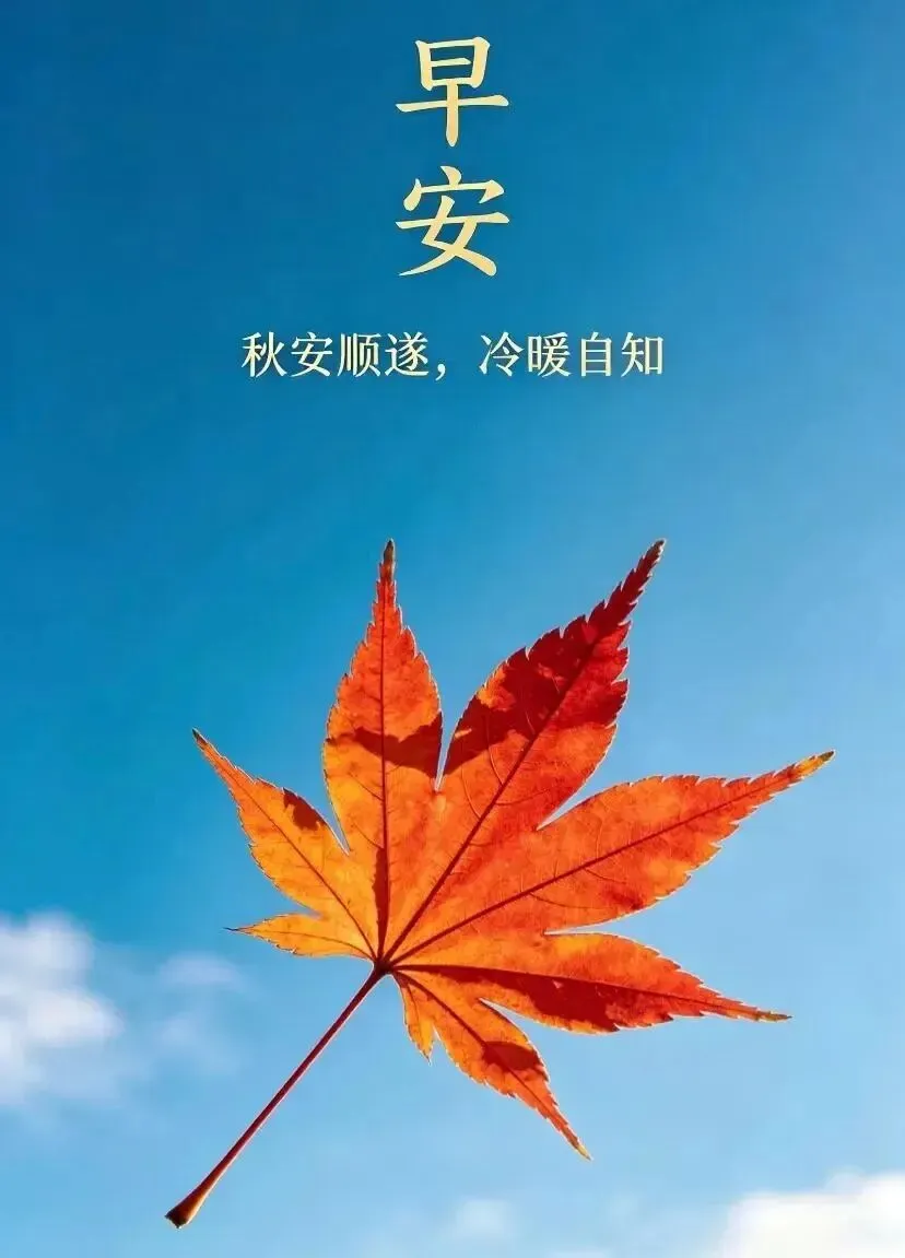 2026年10月12日 农历九月初三·周一大伙儿周一好!-第5张图片-四季读书网 2026年10月12日 农历九月初三·周一大伙儿周一好!-第5张图片-四季读书网