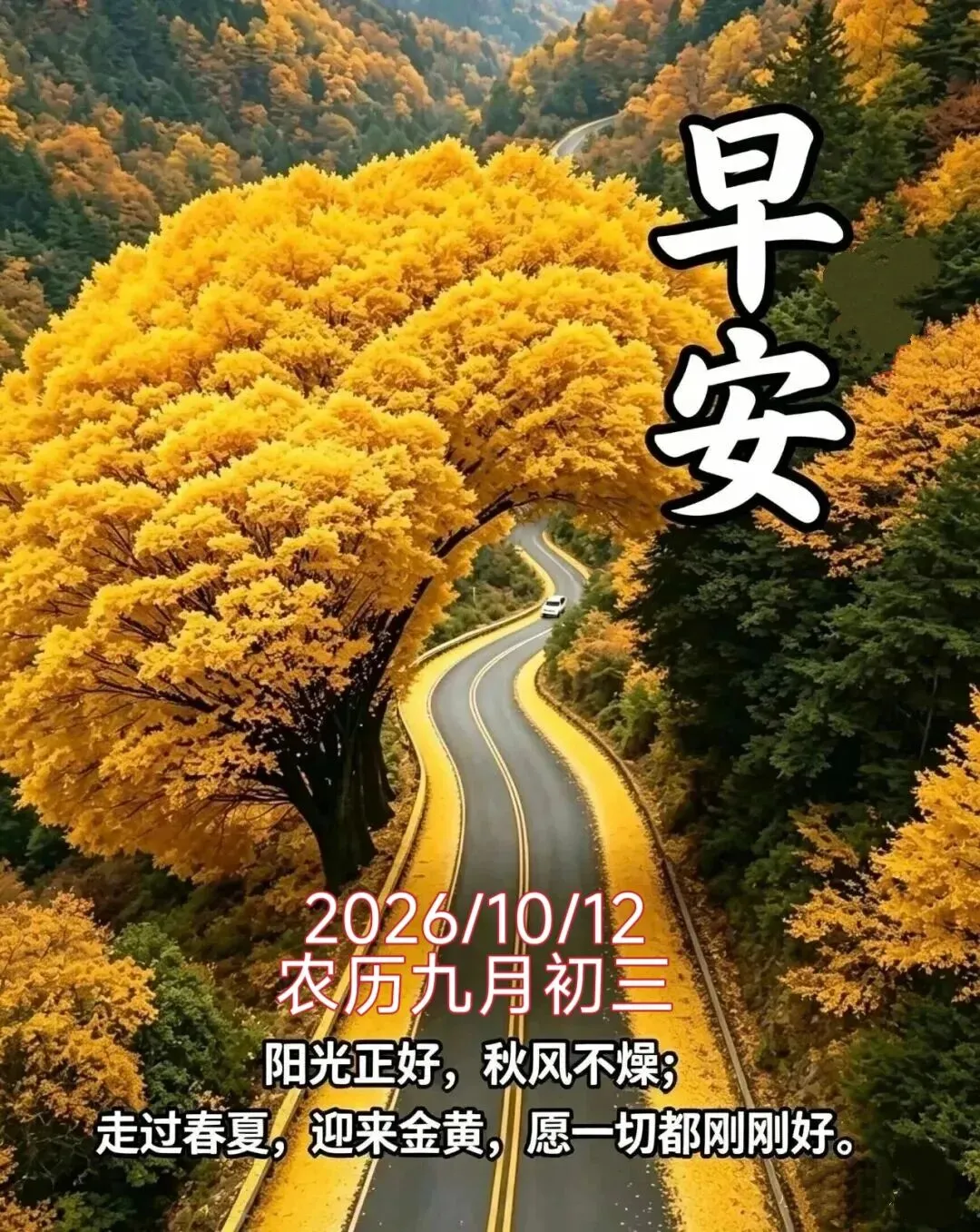 10月12日农历九月初三:老话说“九月初三草黄了”,古人要“辞青”,跟绿色说声明年见-第1张图片-四季读书网