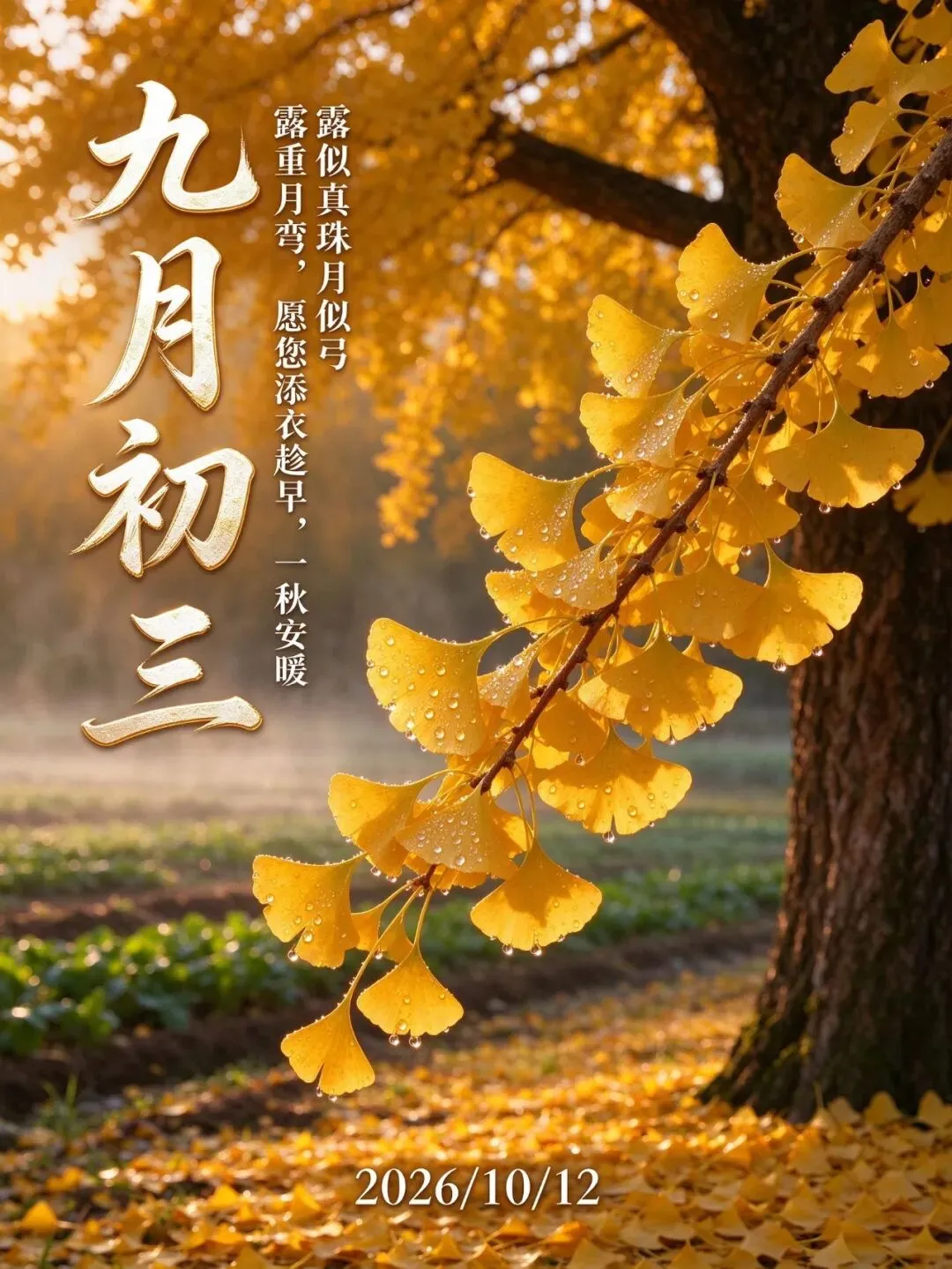 今日农历九月初三,露重月弯,我爷爷说“冷不冷,就看九月初三”,今冬啥光景,看完心里有数-第1张图片-四季读书网