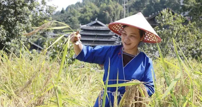 农历九月初三:秋天天赦日的民俗内涵与讲究-第9张图片-四季读书网