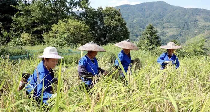 农历九月初三:秋天天赦日的民俗内涵与讲究-第10张图片-四季读书网