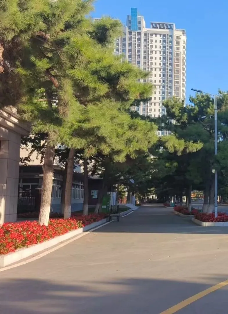 高考作文思辨方法20种-第1张图片-四季读书网