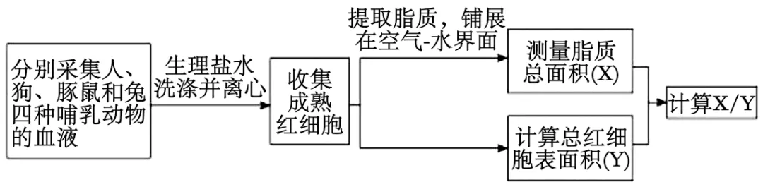 2026重庆高考(试卷+答案)-第2张图片-四季读书网