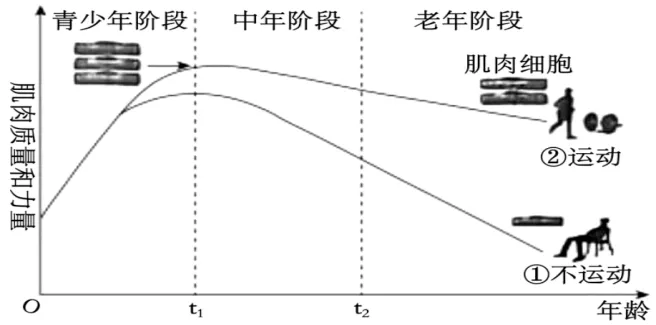 2026重庆高考(试卷+答案)-第3张图片-四季读书网