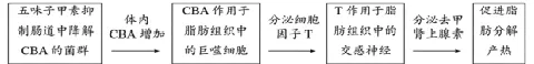 2026重庆高考(试卷+答案)-第13张图片-四季读书网