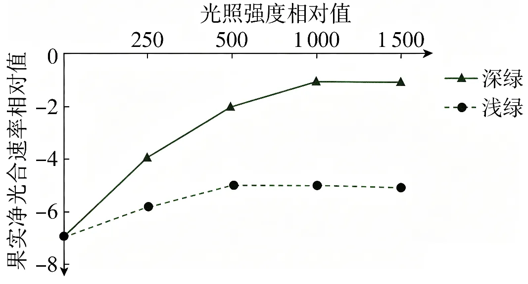 2026重庆高考(试卷+答案)-第17张图片-四季读书网
