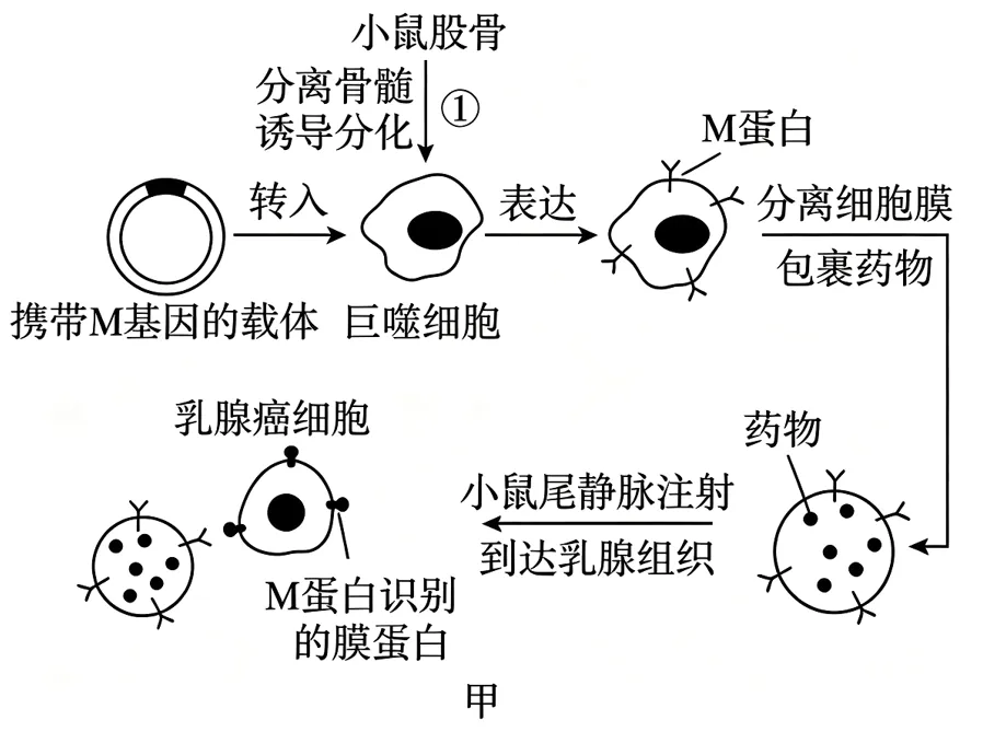 2026重庆高考(试卷+答案)-第18张图片-四季读书网