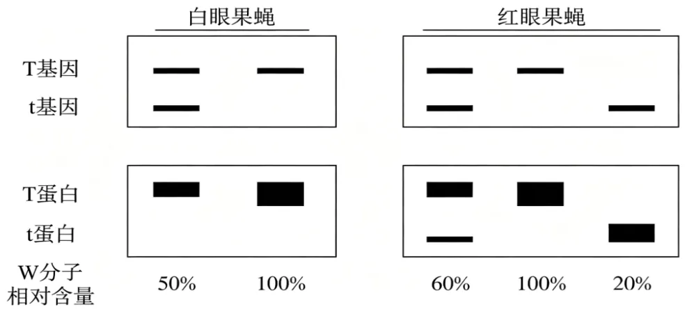 2026重庆高考(试卷+答案)-第23张图片-四季读书网