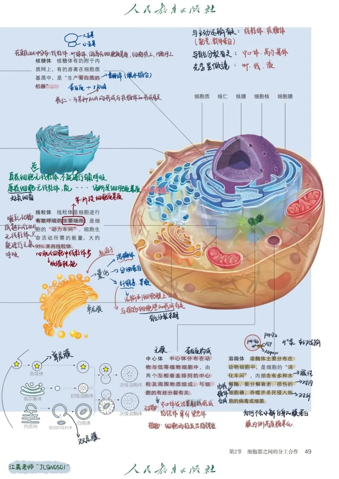 第1、2章走近细胞与组成细胞的分子A卷试卷完整解析-第2张图片-四季读书网
