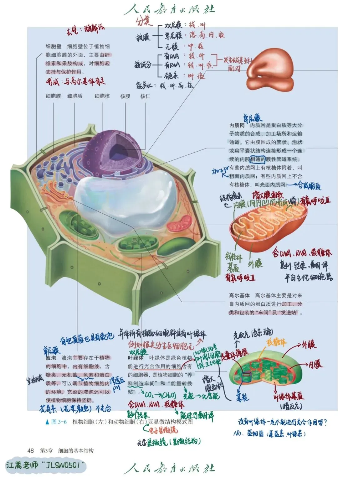 第1、2章走近细胞与组成细胞的分子A卷试卷完整解析-第3张图片-四季读书网