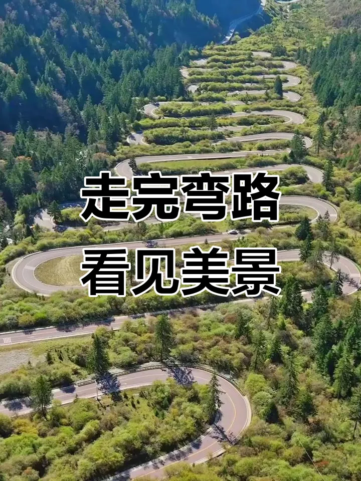 2027年高考作文模拟题及范文:弃捷径浮名,走弯路笃行致远(2026作文押题五题全切中,有图有真相!妙!妙!妙!)-第8张图片-四季读书网 2027年高考作文模拟题及范文:弃捷径浮名,走弯路笃行致远(2026作文押题五题全切中,有图有真相!妙!妙!妙!)-第8张图片-四季读书网