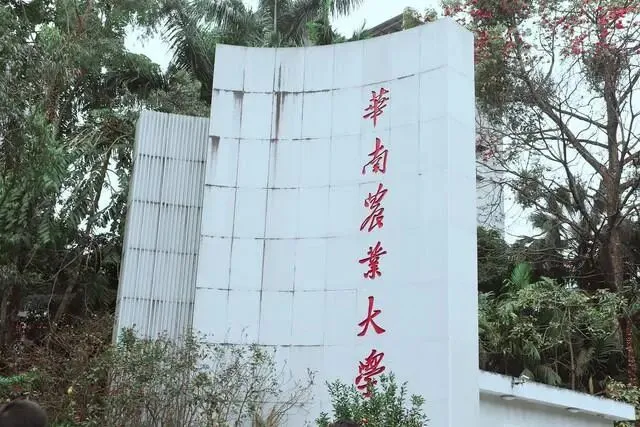 高考只够普通一本线,却能拿双一流文凭!这4所大学400多分就能上,中等生的捡漏机会-第2张图片-四季读书网