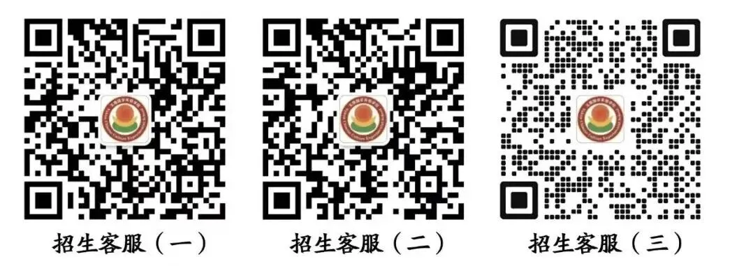 教育“十五五”规划下|初高中升学不止高考一条路?|玉琨国学研修院给出答案-第50张图片-四季读书网