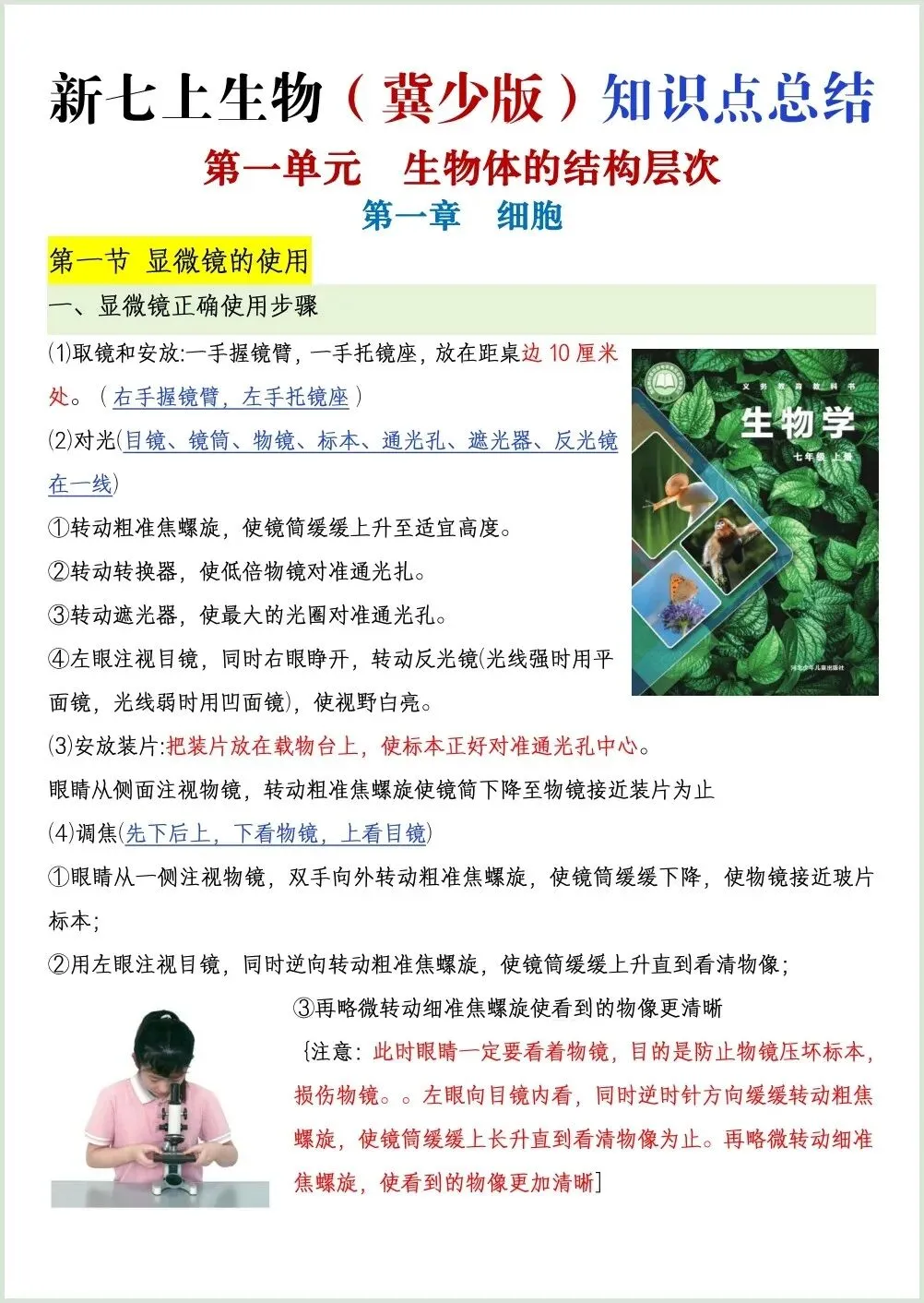 初一新七上生物全册知识点背读总结(冀少版)电子打印版!(2026 新版本)-第1张图片-四季读书网