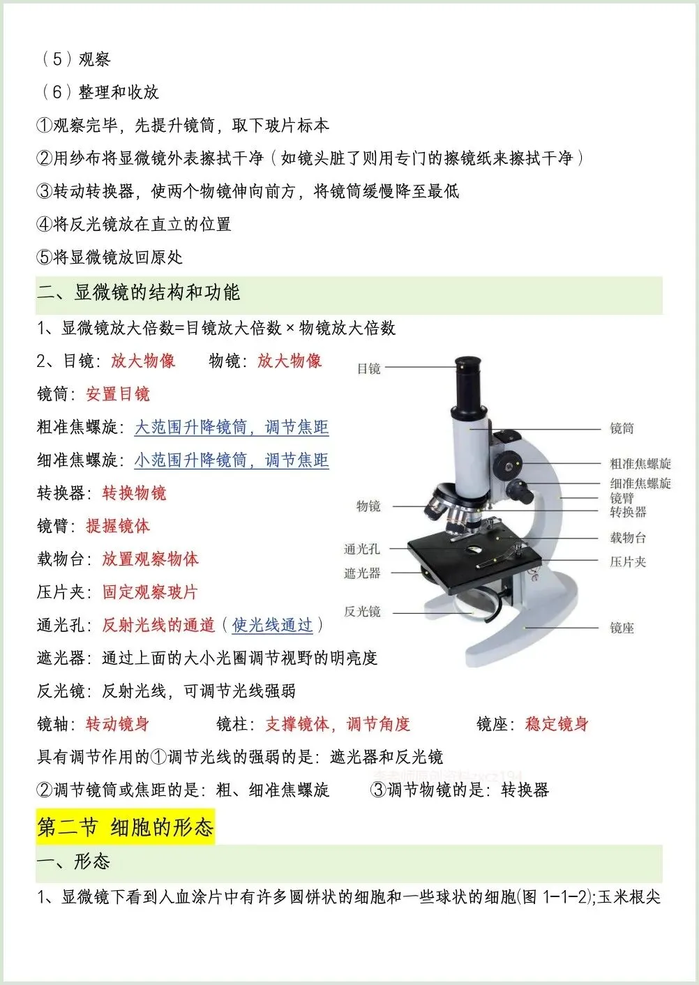 初一新七上生物全册知识点背读总结(冀少版)电子打印版!(2026 新版本)-第2张图片-四季读书网