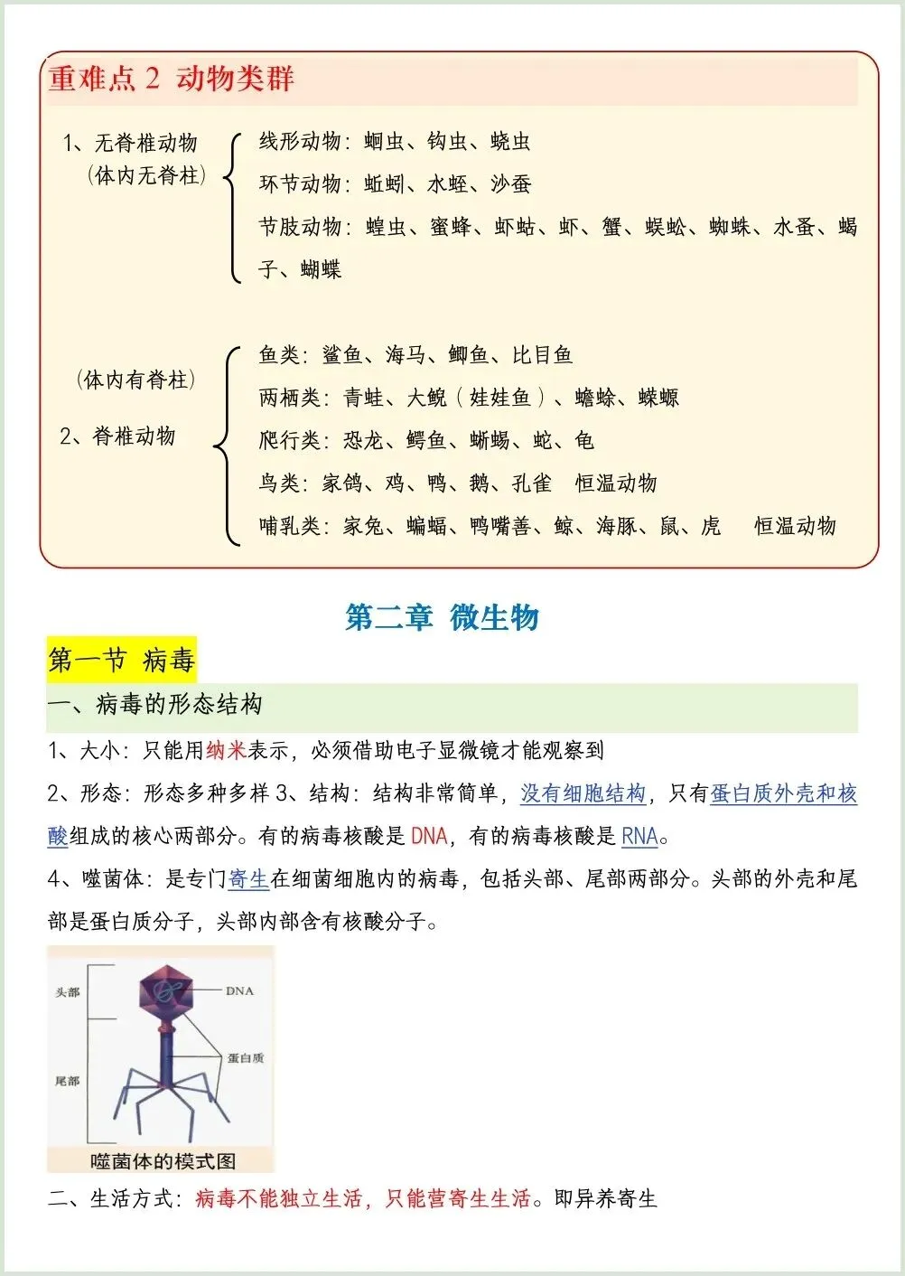 初一新七上生物全册知识点背读总结(冀少版)电子打印版!(2026 新版本)-第9张图片-四季读书网