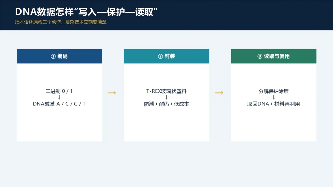 每一天学习一篇高考阅读 Day 12|DNA如何变成下一代数据硬盘?-第3张图片-四季读书网 每一天学习一篇高考阅读 Day 12|DNA如何变成下一代数据硬盘?-第3张图片-四季读书网
