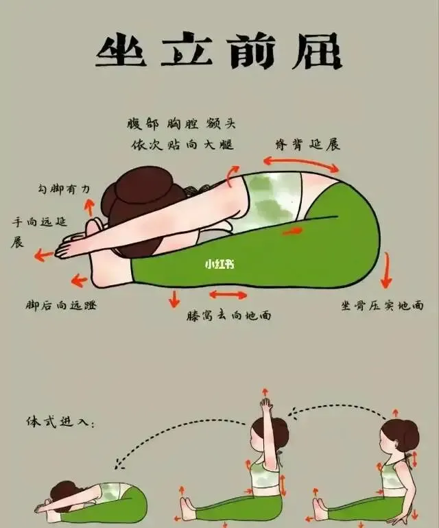 初二体测必看《坐位体前屈》-第1张图片-四季读书网