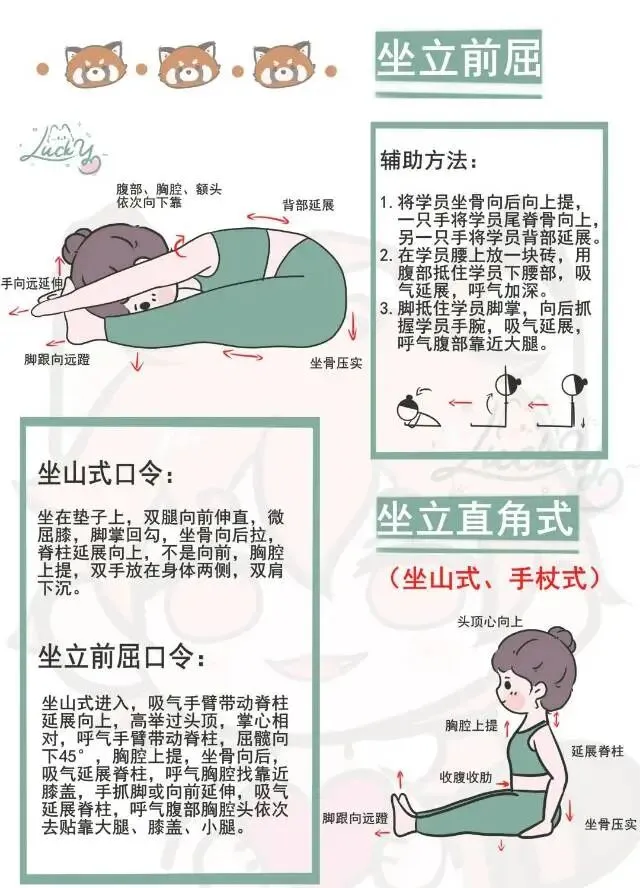 初二体测必看《坐位体前屈》-第3张图片-四季读书网