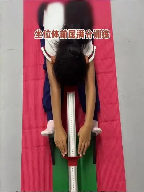 初二体测必看《坐位体前屈》-第5张图片-四季读书网