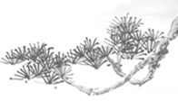 新初二必备|八上语文同步练字帖,写字 + 记生字一举两得-第11张图片-四季读书网 新初二必备|八上语文同步练字帖,写字 + 记生字一举两得-第11张图片-四季读书网