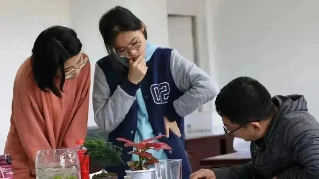 27届艺考生如何突围 | 高考听口短期集训营-第78张图片-四季读书网 27届艺考生如何突围 | 高考听口短期集训营-第78张图片-四季读书网