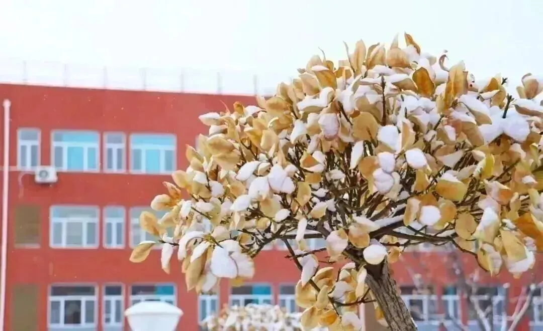 27届艺考生如何突围 | 高考听口短期集训营-第79张图片-四季读书网 27届艺考生如何突围 | 高考听口短期集训营-第79张图片-四季读书网