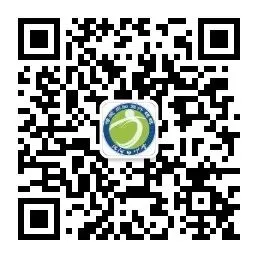 博识铸魂,探源京韵|汤河口中学初二年级走进首都博物馆研学实践-第36张图片-四季读书网