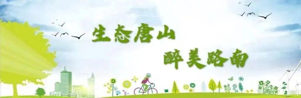 护航中考,路南区召开2021年中考工作协调会-第2张图片-四季读书网