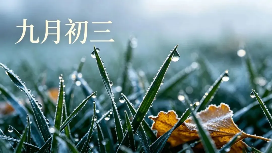 今日九月初三,深秋风寒露重,牢记:1不走,2不做,吃3样,忌1事,护住阳气少生病,平安度秋-第1张图片-四季读书网 今日九月初三,深秋风寒露重,牢记:1不走,2不做,吃3样,忌1事,护住阳气少生病,平安度秋-第1张图片-四季读书网
