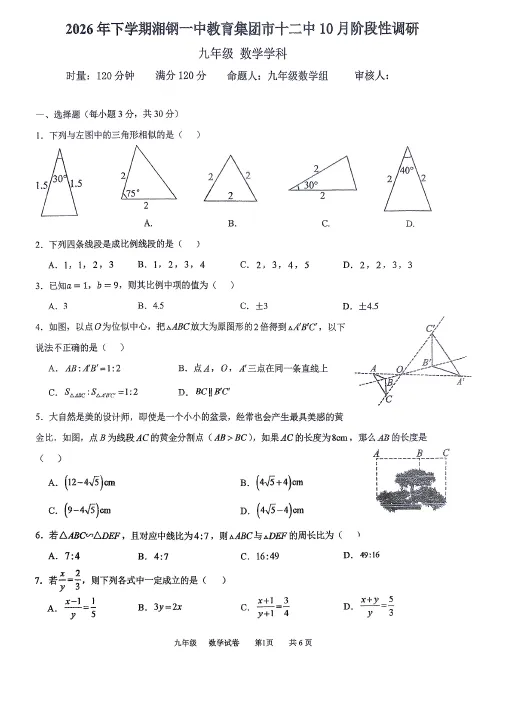 湘潭十二中2026九上第一次月考真题卷免费领取!-第4张图片-四季读书网 湘潭十二中2026九上第一次月考真题卷免费领取!-第4张图片-四季读书网