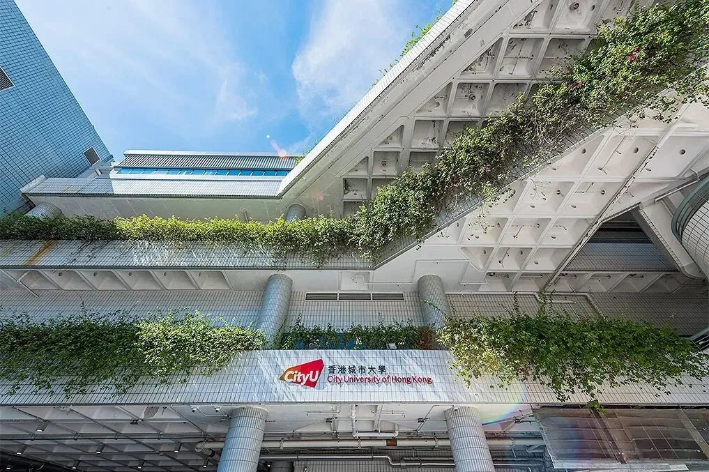 高考Plan B已上线:港八大2027申请开放,不占志愿,最早6月10日截止-第5张图片-四季读书网