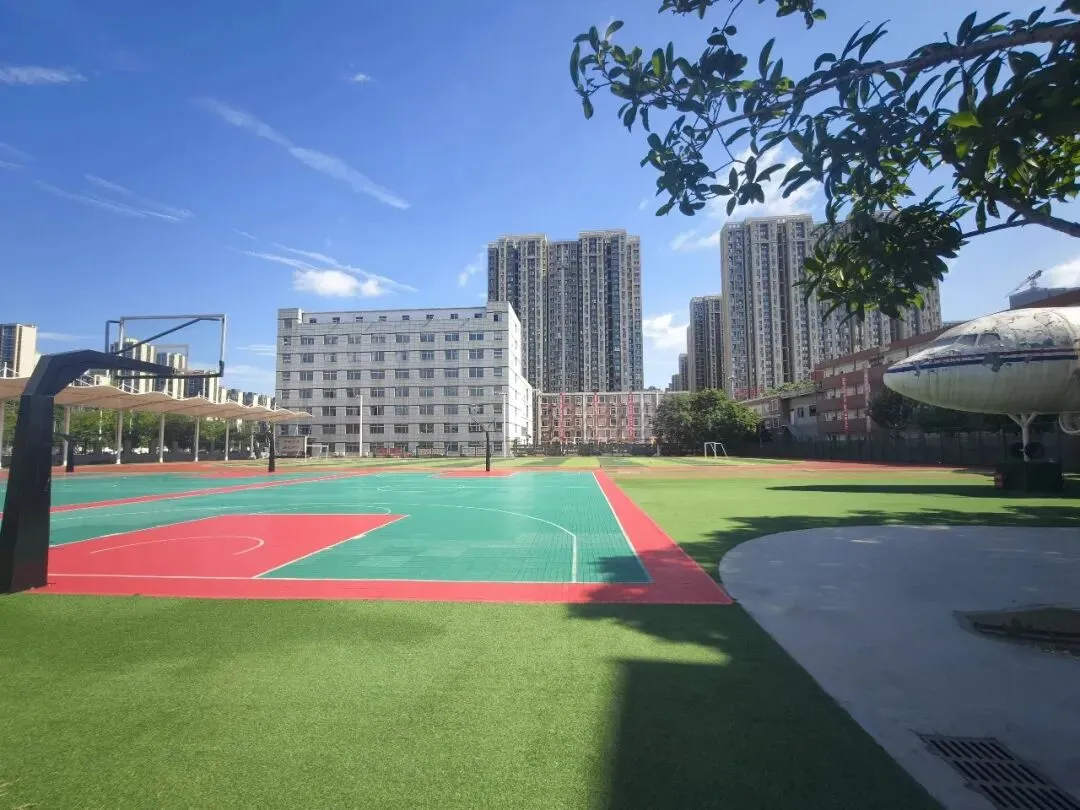高考不是通往大学的唯一一条路-第3张图片-四季读书网 高考不是通往大学的唯一一条路-第3张图片-四季读书网