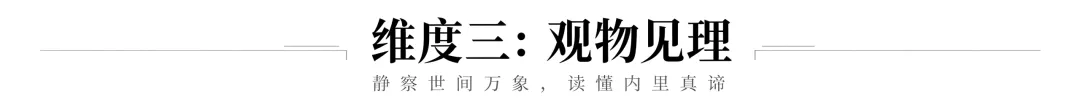 中考四大成长类作文素材(四):哲「理」篇-第4张图片-四季读书网