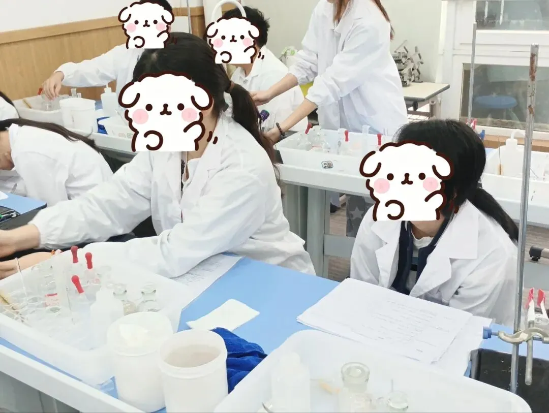 等你加入!已有1000+中考同学在这通关-第3张图片-四季读书网