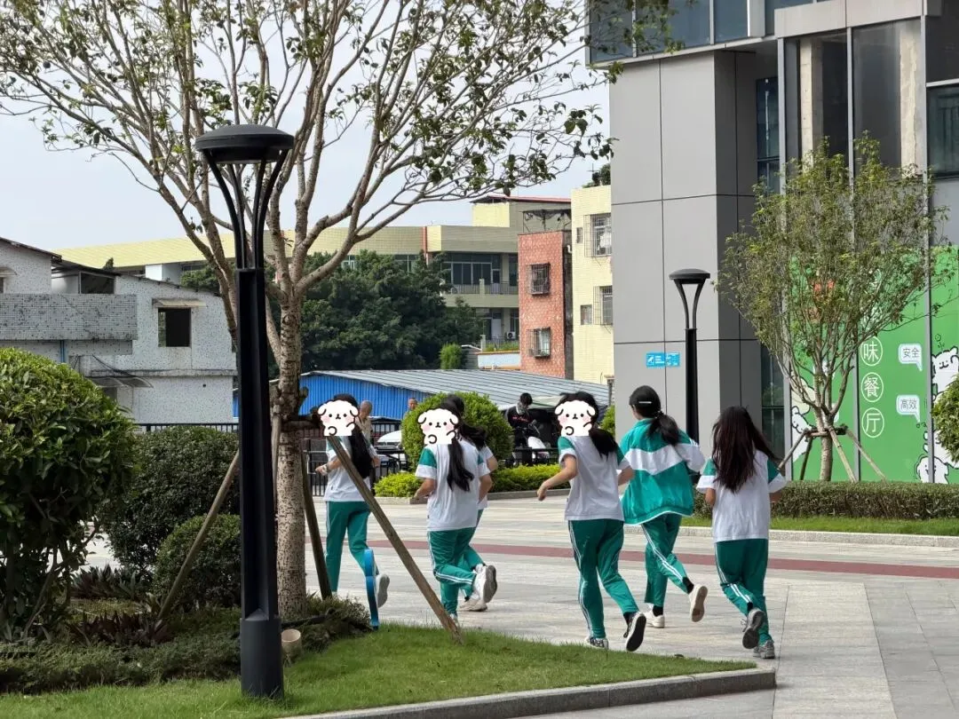 等你加入!已有1000+中考同学在这通关-第14张图片-四季读书网