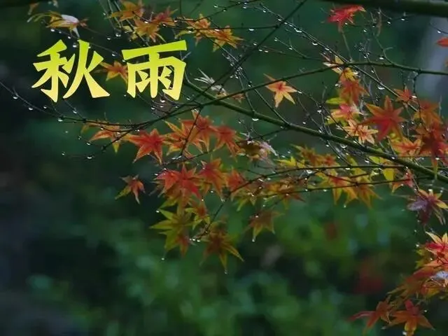 七古·丙午九月初三小雨 文/秦刚余(山东)-第4张图片-四季读书网