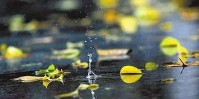 七古·丙午九月初三小雨 文/秦刚余(山东)-第8张图片-四季读书网