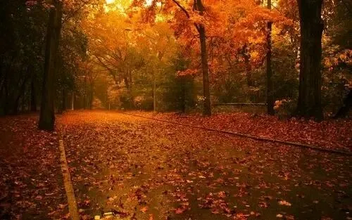七古·丙午九月初三小雨 文/秦刚余(山东)-第10张图片-四季读书网
