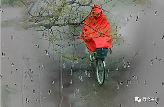 七古·丙午九月初三小雨 文/秦刚余(山东)-第22张图片-四季读书网