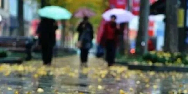 七古·丙午九月初三小雨 文/秦刚余(山东)-第23张图片-四季读书网
