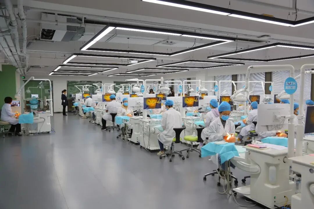 初三走山东春考学医:医学技术、护理、药学三大类,哪条路更宽?-第3张图片-四季读书网