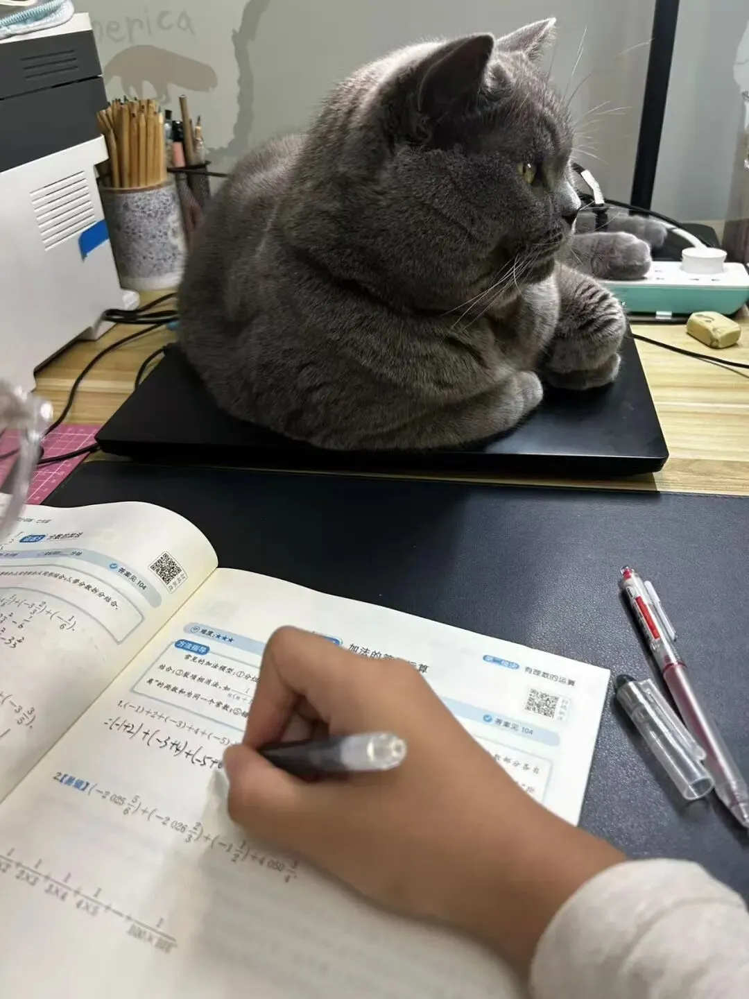 初一娃的点滴改变,如微光,点亮稳步前行路-第2张图片-四季读书网